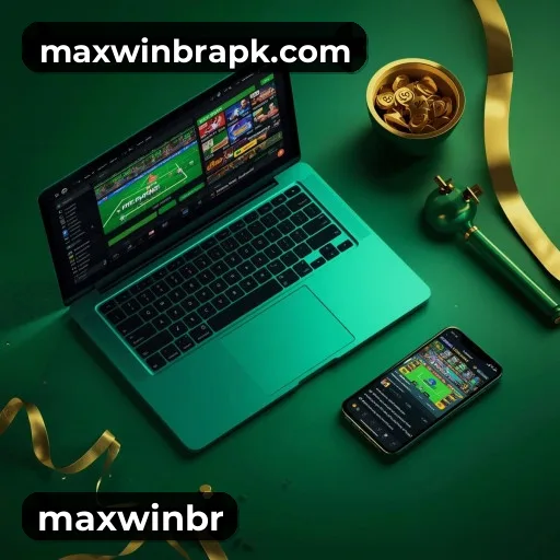 maxwinbr Logo 2